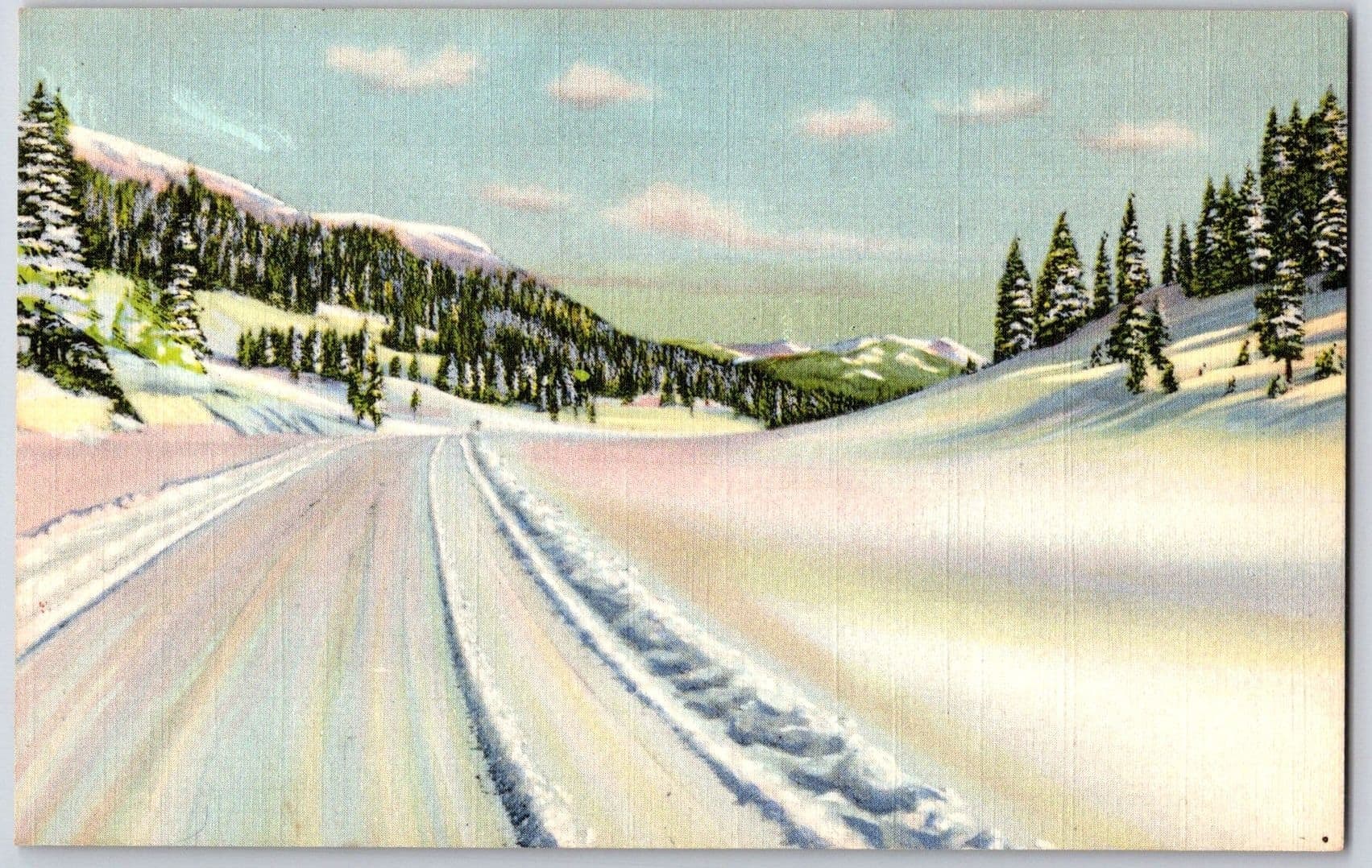 Wolf Creek Pass Summit 10850 Ft San Juan Basin Colorado CO Linen Postcard