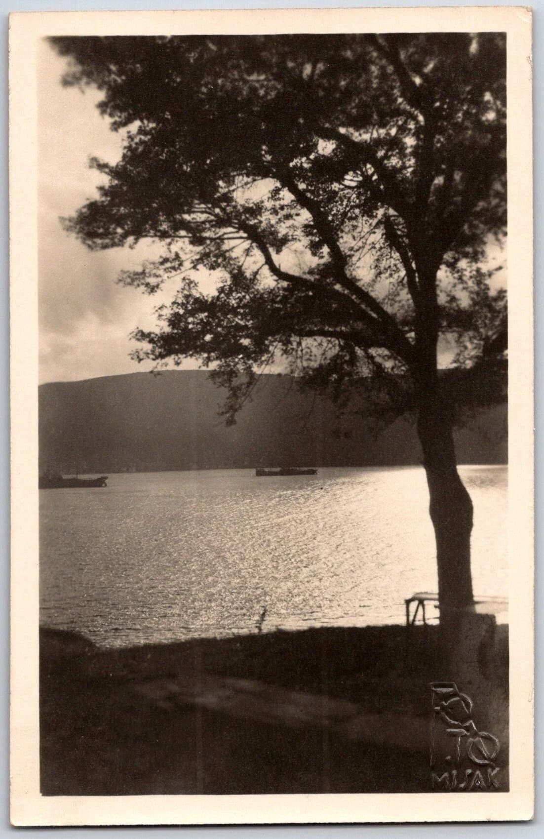 Istanbul Turkey Bosphorus Shore Tree Boats Photo Missak Postcard