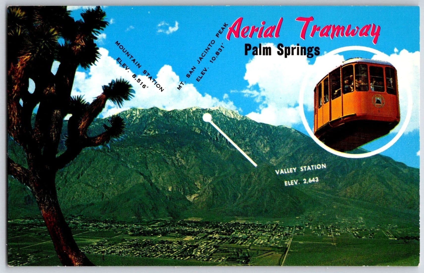 Palm Springs Aerial Tramway Chino Canyon California CA Chrome Postcard