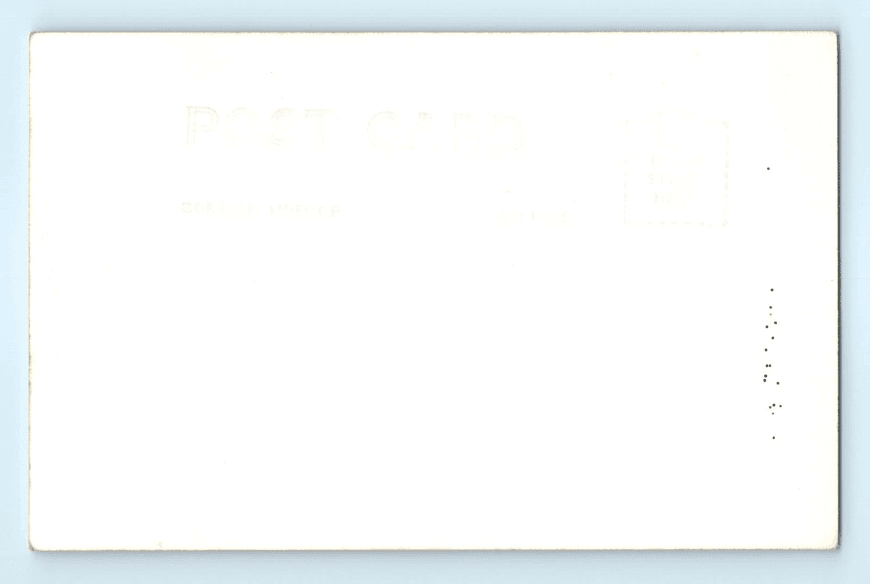 RPPC Postcard Six Weeks in Nevada Divorce Court is the Cure Reno NV Robt. Foster