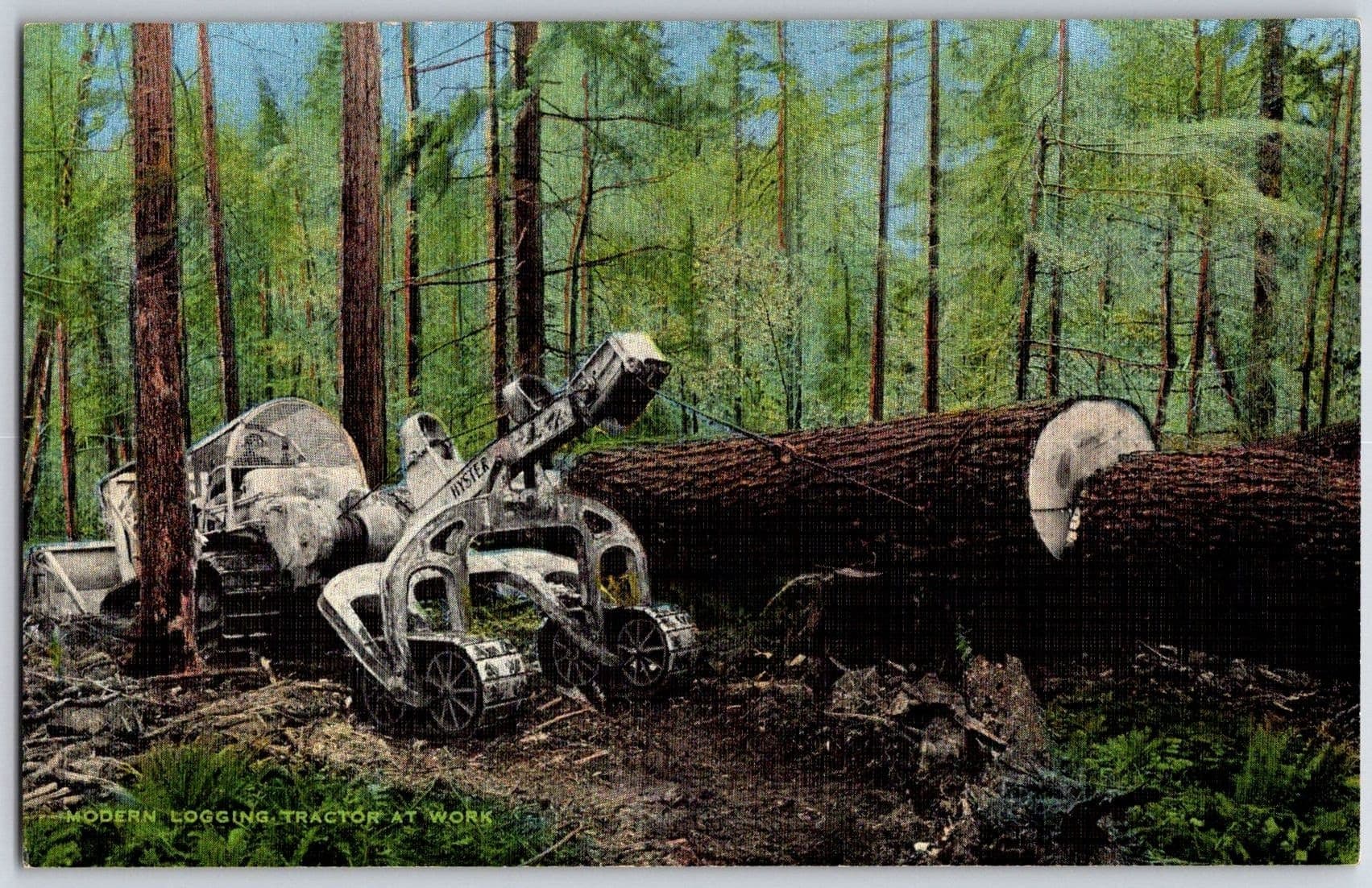 Hyster Logging Tractor Winch Arch 40-Foot Fir Log Linen Postcard