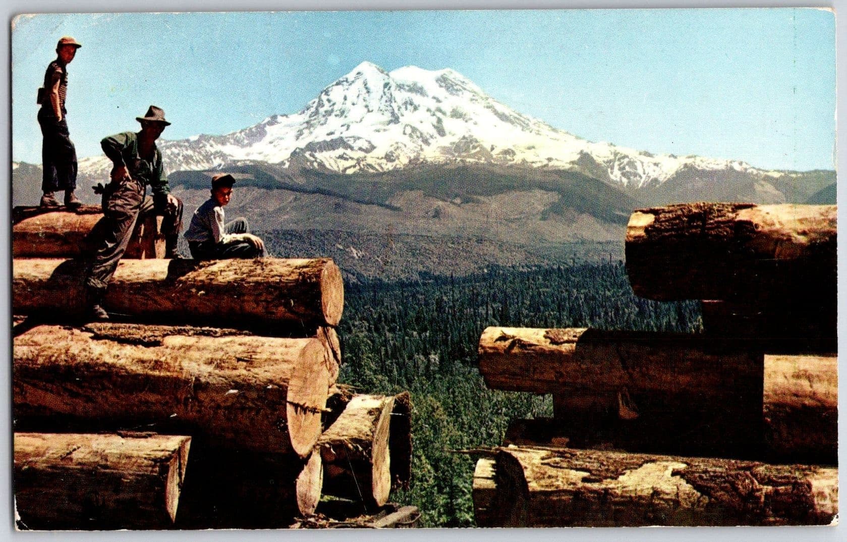 Log Train Mt Rainier Northwest Harvest Washington WA 1961 Chrome Postcard