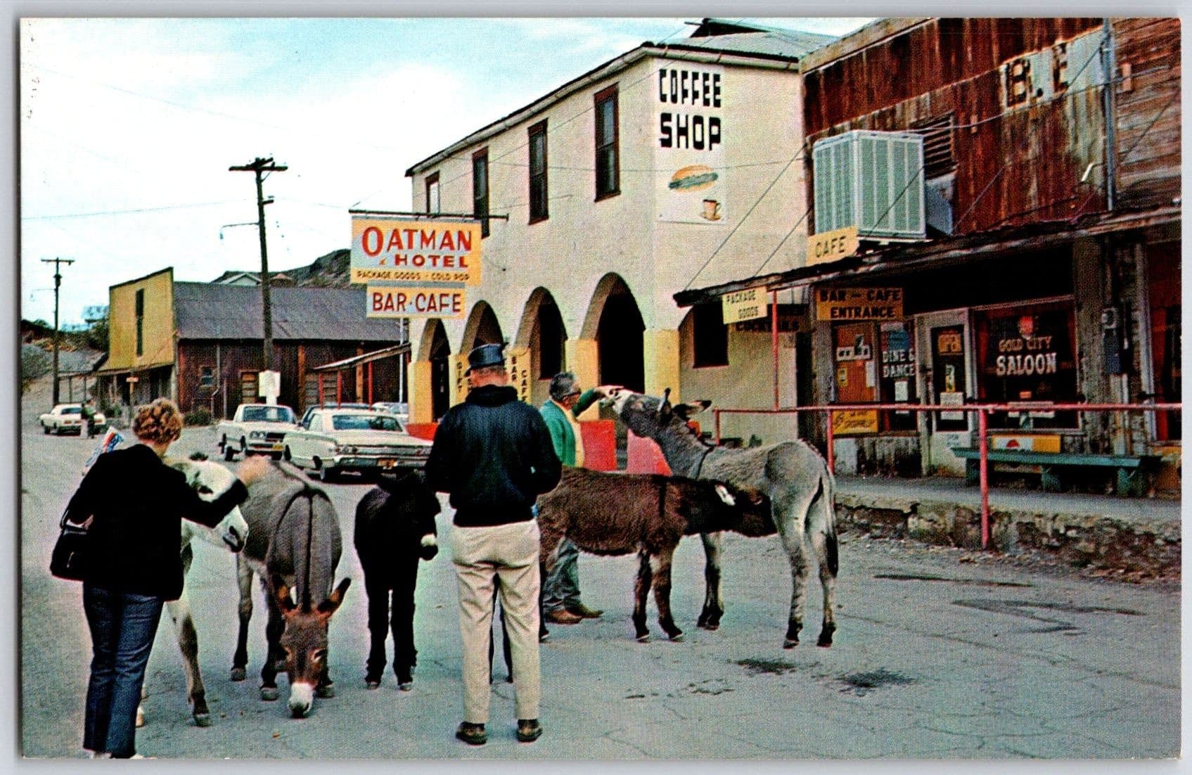1970s Oatman Hotel Wild Burros Gold City Saloon Oatman Arizona AZ Chrome