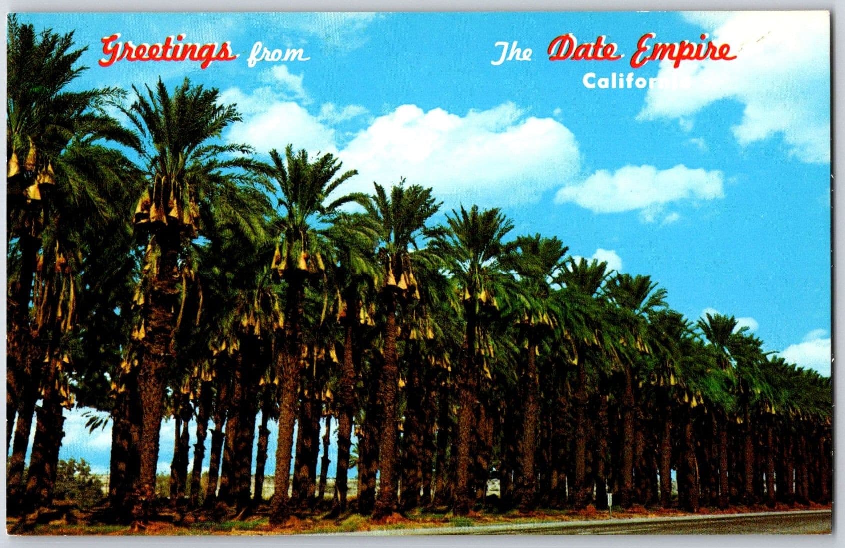 Date Empire Coachella Valley Palm Springs California CA Chrome Postcard