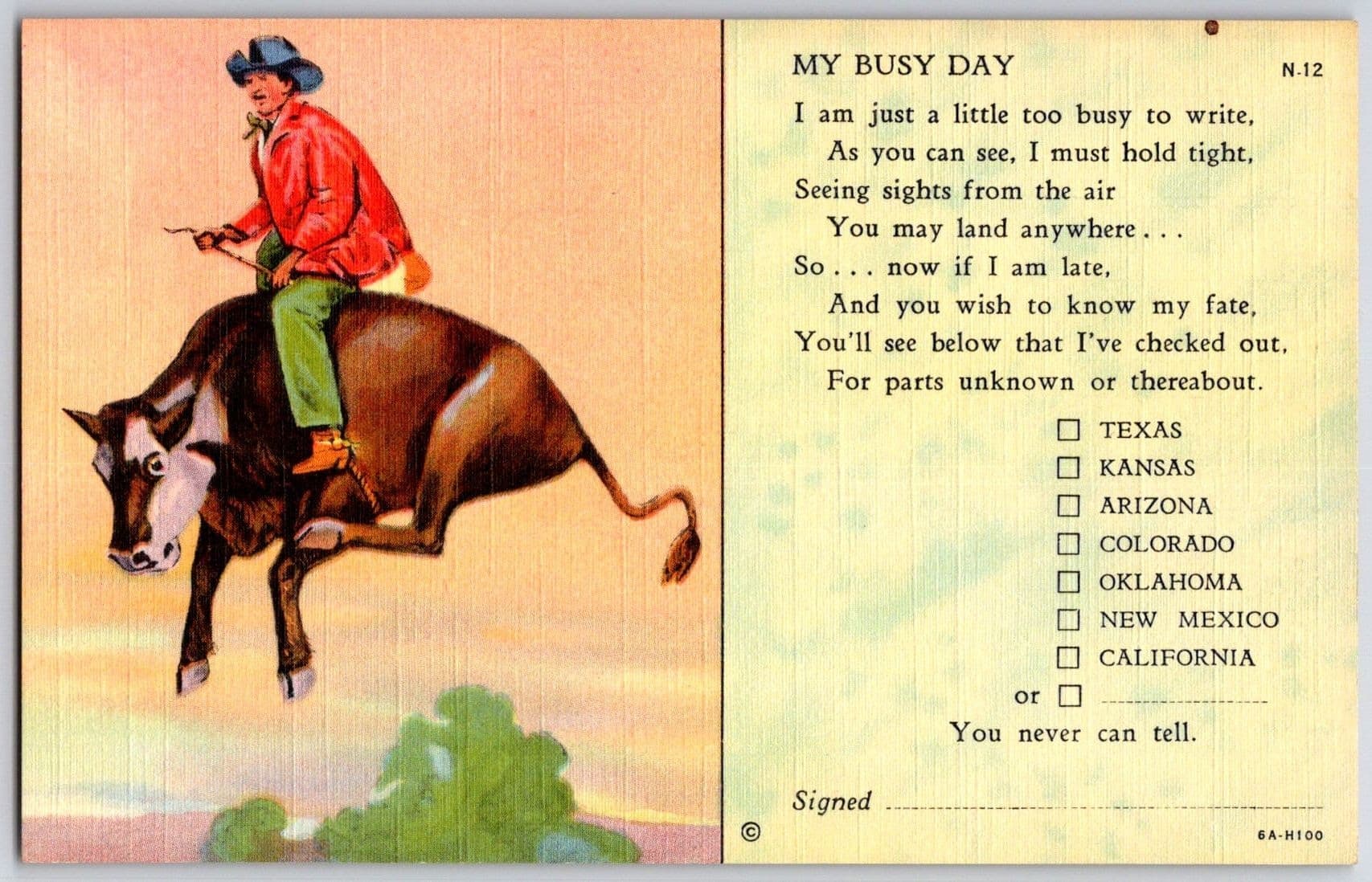 COWBOY RIDING A COW Humor Whimsical Illustrated Postcard