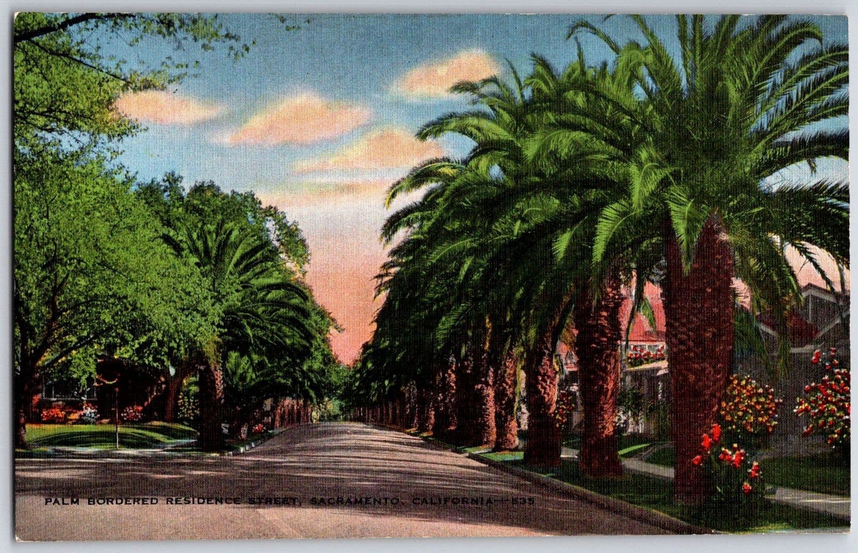 Palm Bordered Residence Street Sacramento California CA Linen Postcard