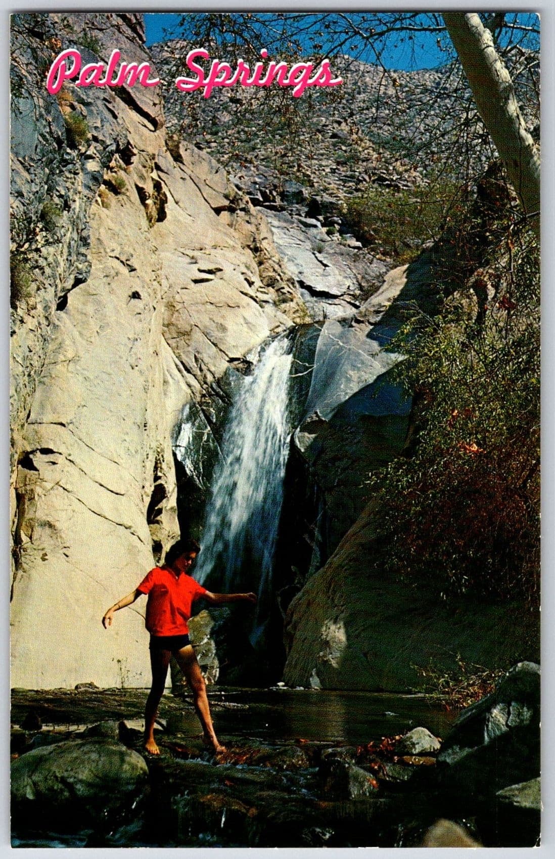 TAHQUITZ FALLS Palm Springs California Waterfall Postcard